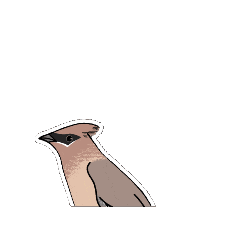 Bird Fauna Sticker by Parks Conservancy