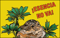 Puerto Rico Instagram GIF