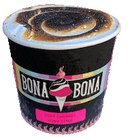 Ice Cream Sticker by bonabonaicecream