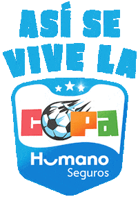 Football Futbol Sticker by Humanos Seguros