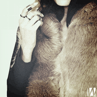 GIF by Wantering