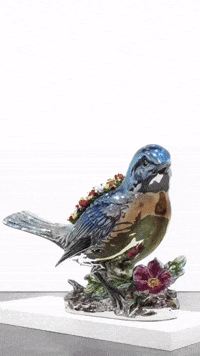 Bird GIF by systaime