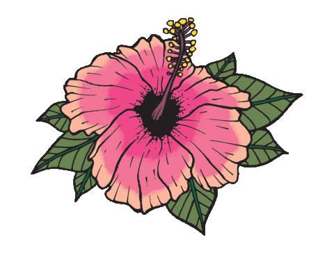 Koslik giphyupload flower tropical hibiscus Sticker
