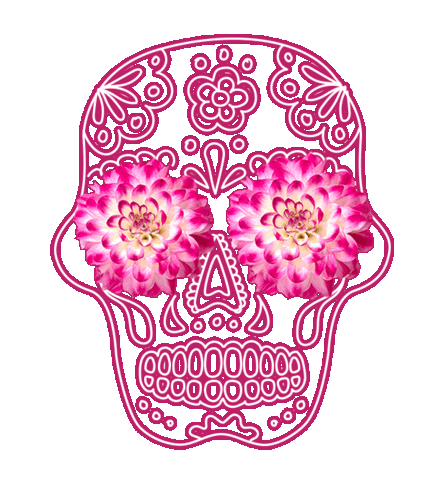 day of the dead wow Sticker by Flower Council