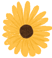Flower Sun Sticker