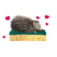 Cleaning Love Sticker by Spontex