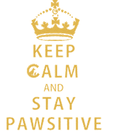 Positive Sticker by Crumps