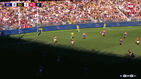 2018 season football GIF by AFL