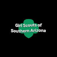 GirlScoutsofSouthernAZ cactus arizona tucson girl scouts GIF