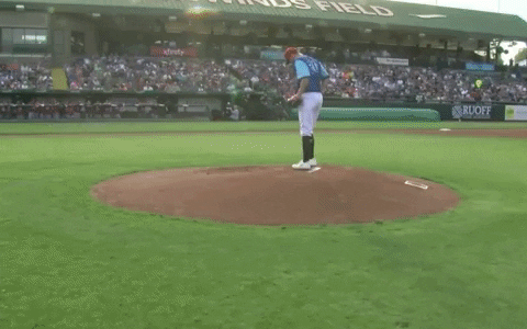 all star baseball GIF by Lansing Lugnuts