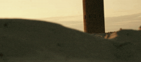 Summer Beach GIF