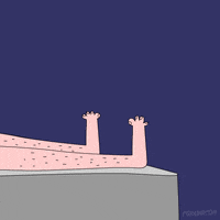 Animation Domination Lol GIF by gifnews