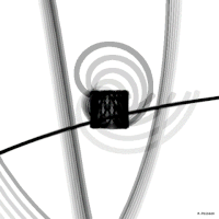 GIF by Michel Poisson