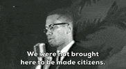 Malcolm X GIF by GIPHY News