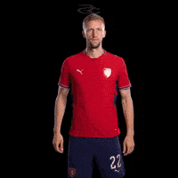 Fifa World Cup Uefa GIF by Respective