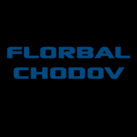 FlorbalChodov giphygifmaker florbal florbalchodov chodov GIF