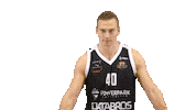 Sport Basketball Sticker by Basket_fi