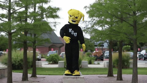 Wu_Shock giphyupload college wu wsu GIF