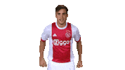 nicolas tagliafico ajax stickers Sticker by AFC Ajax
