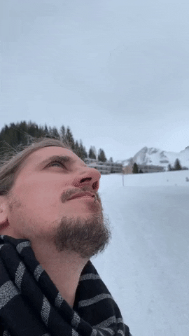 tingtinglu giphyupload GIF