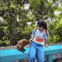 Rayxonmi GIF
