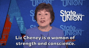 Liz Cheney GIF by GIPHY News