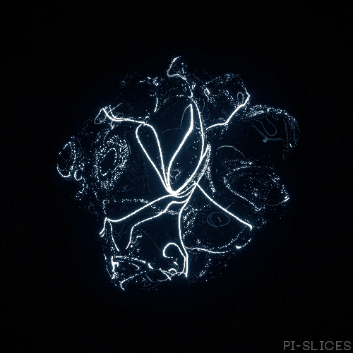 pislices giphyupload loop 3d trippy GIF