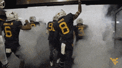 college football GIF by WestVirginiaU