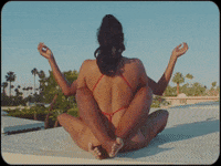 Waterslide GIF by Janelle Monáe