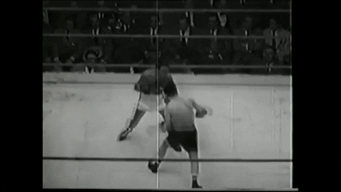 Combat_Sports_Fan giphygifmaker GIF