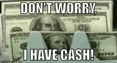 lieblingsbankmemes giphyupload money cash dollar GIF