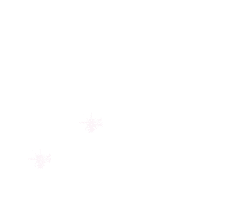 bibi blocksberg stars Sticker by Kiddinx