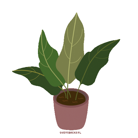 hoyabackgirl illustration nature green plant Sticker