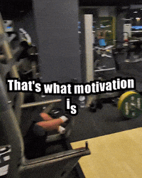 Mem GIF