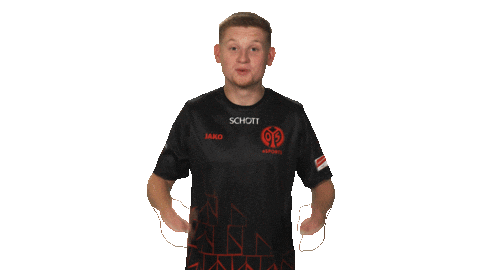 Mainz 05 Omg Sticker by Bundesliga