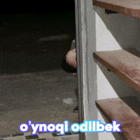 Panda Uzbek GIF