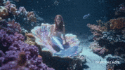 Dirty Heads Hello GIF by Better Noise Music