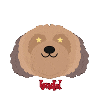 Shopnow Shihpoo Sticker