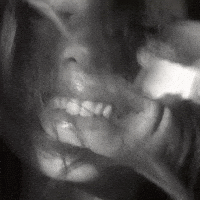 Ariana Grande Petals GIF by Respective