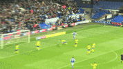 IpswichTown ipswich ipswich town ipswichtown andre dozzell GIF