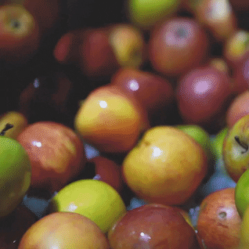 Juice Cider GIF by Hawkes
