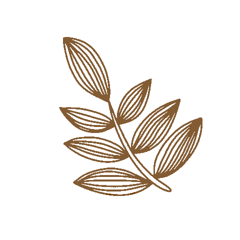 jobsjournal giphyupload flower flowers leaf Sticker
