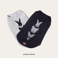zampeoficial gato cachorro organico zampe GIF
