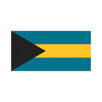 Bahamas Greenturtle Sticker by Castaway Customs