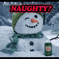 Naughty Or Nice GIF by Canada Dry Ginger Ale