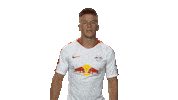 rb leipzig Sticker by Bundesliga