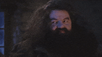 Yer a Wizard Harry
