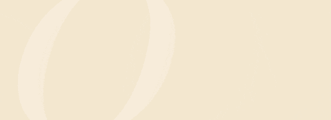 BaileyMcE giphyupload GIF