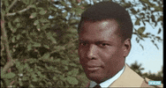 Sidney Poitier Wink GIF by Turner Classic Movies