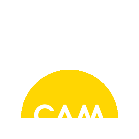 CAMraleigh giphygifmaker Sticker
